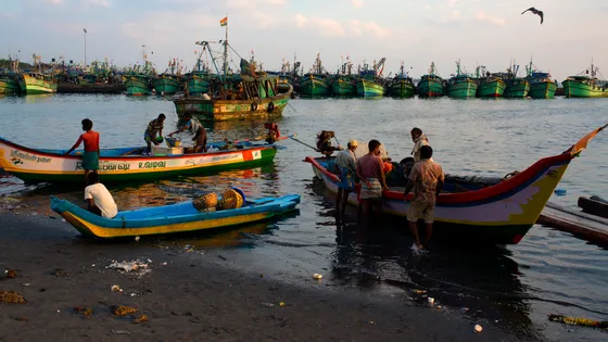 Image tirée du podcast sur Franceculture (Pêcheurs dans le port de Chennai dans le Tamil Nadu, 2015 ©Getty - Subhendu Sarkar)